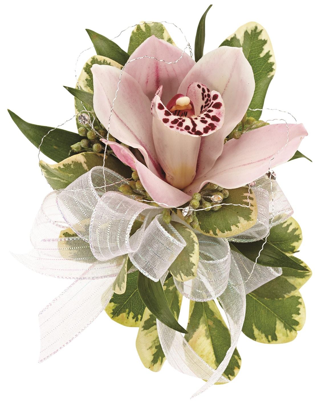 A white ribbon pin-on corsage with a pink orchid and greens.