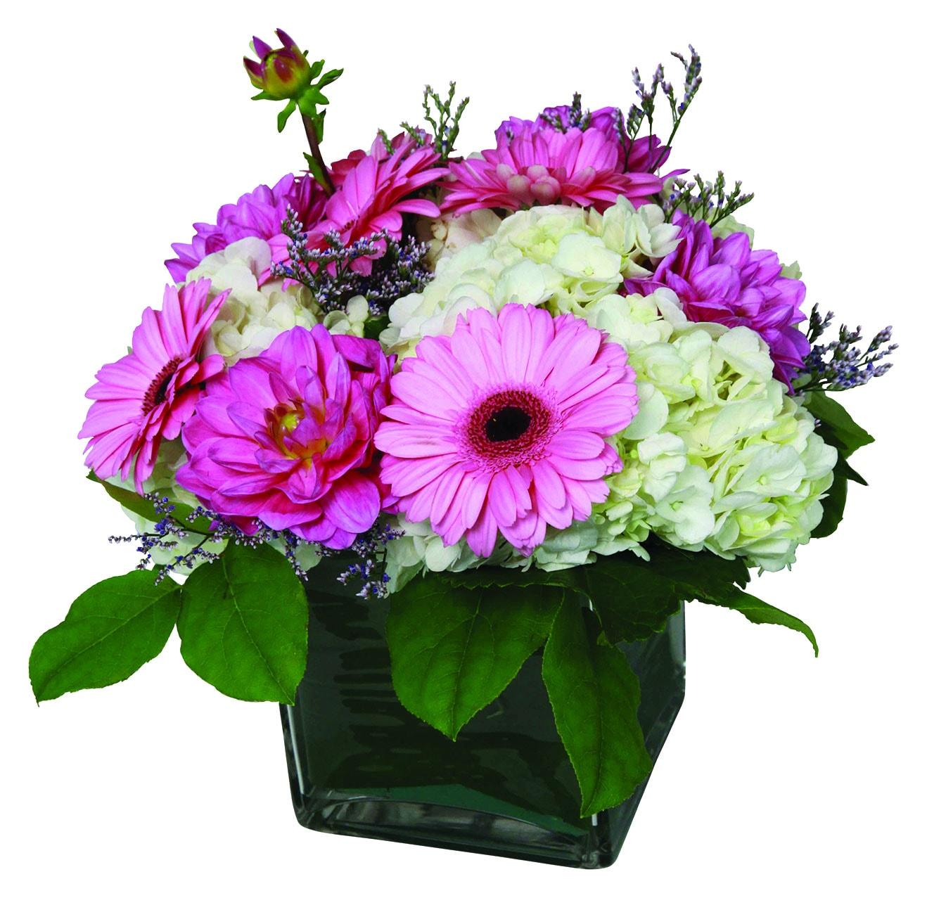 A fresh arrangement with white hydrangea, pink mini gerberas, fancy greens and fillers.