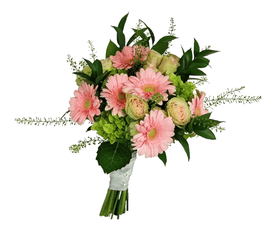 A hand-tied bridal bouquet with pink gerberas and roses and greens.