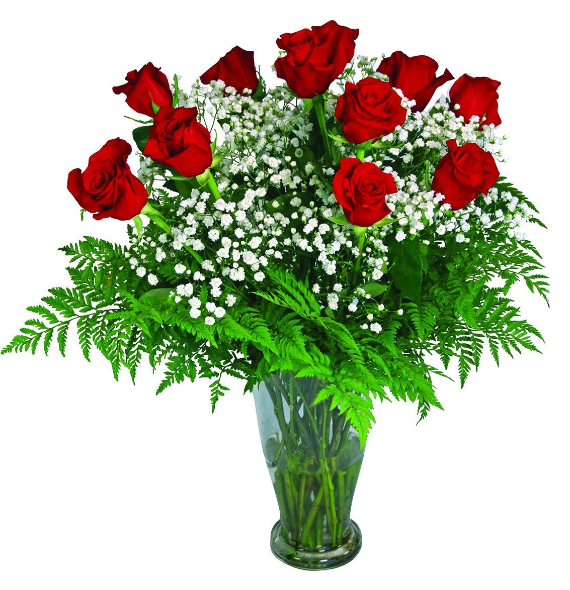A dozen long stemmed red roses with greens and baby's breath in a vase.