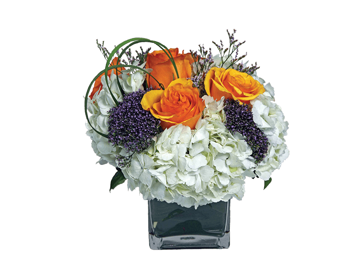 A fresh arrangement with orange roses, white hydrangea, greens and fillers.
