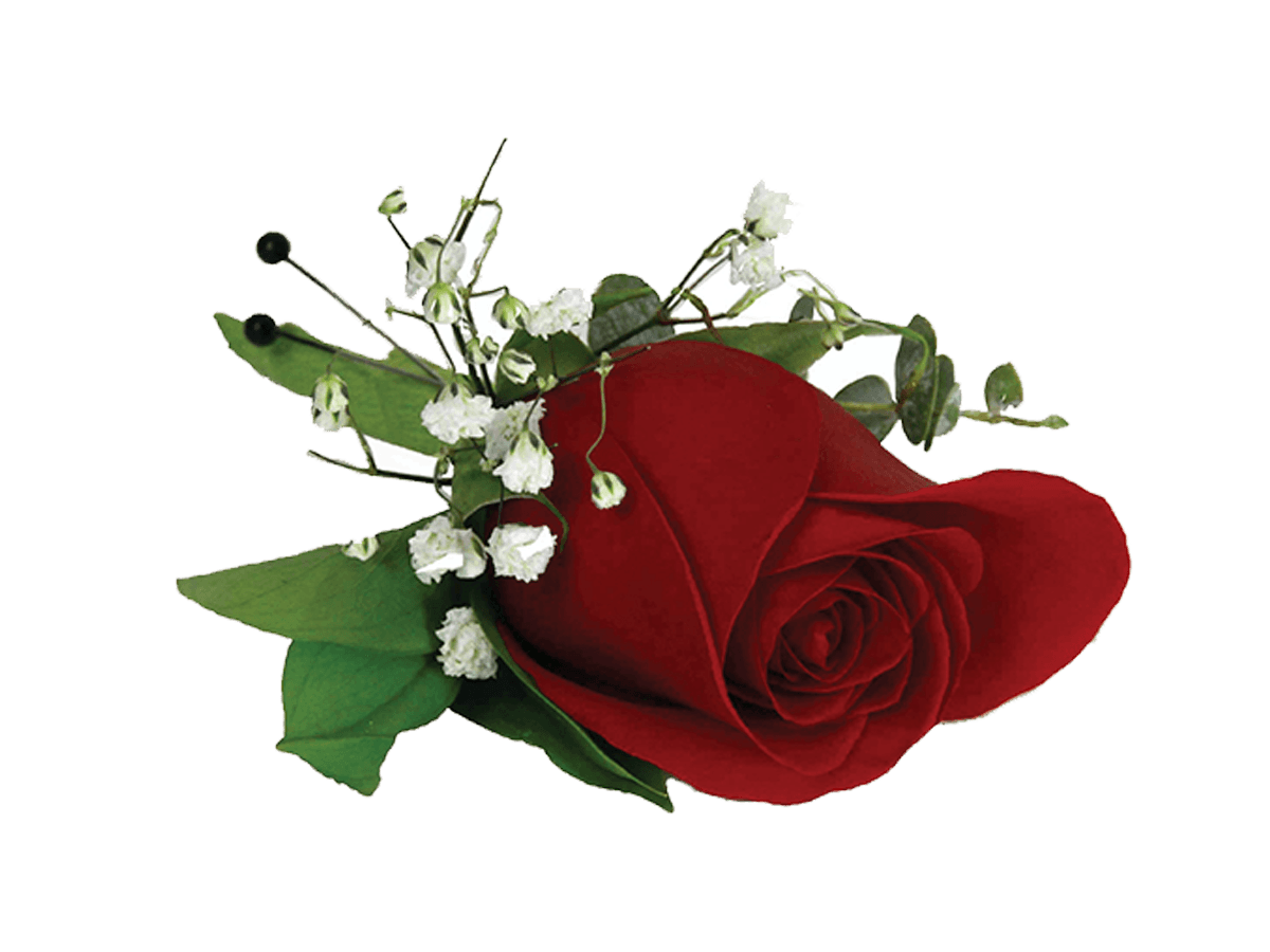 A single red rose boutonniere with white buds and greens.