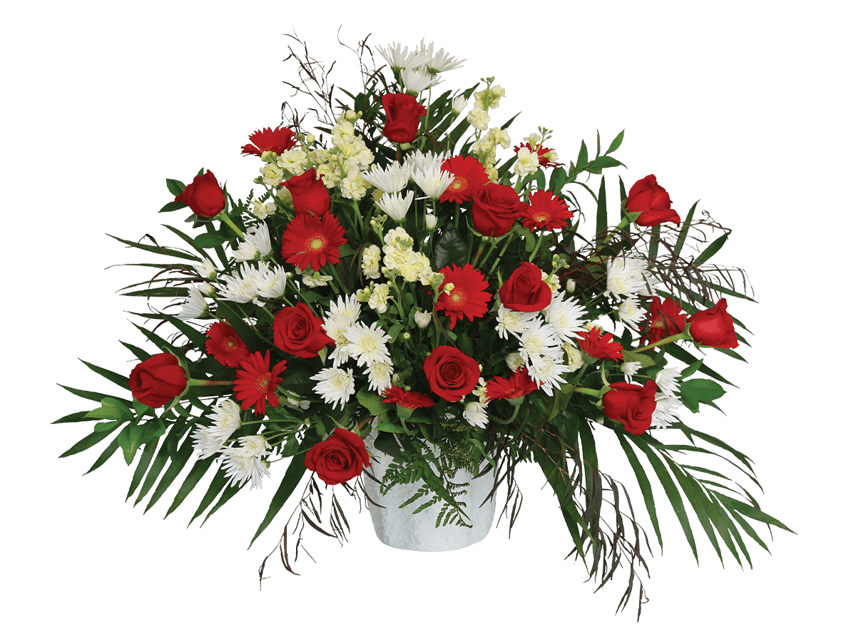 An arrangement with red roses and gerberas, white mums and alstromeria and greens.