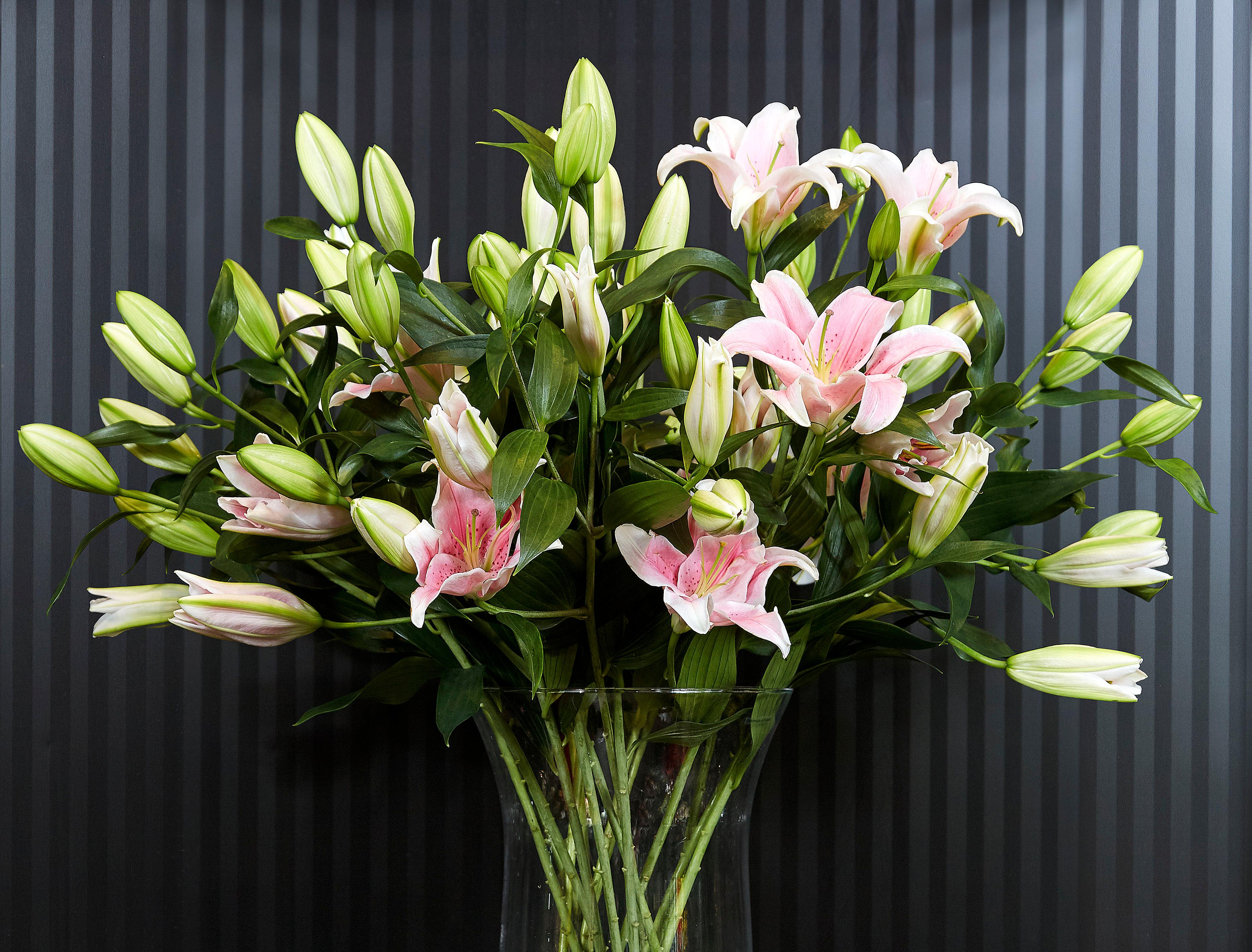 A glass vase filled with blooming pink lillies.