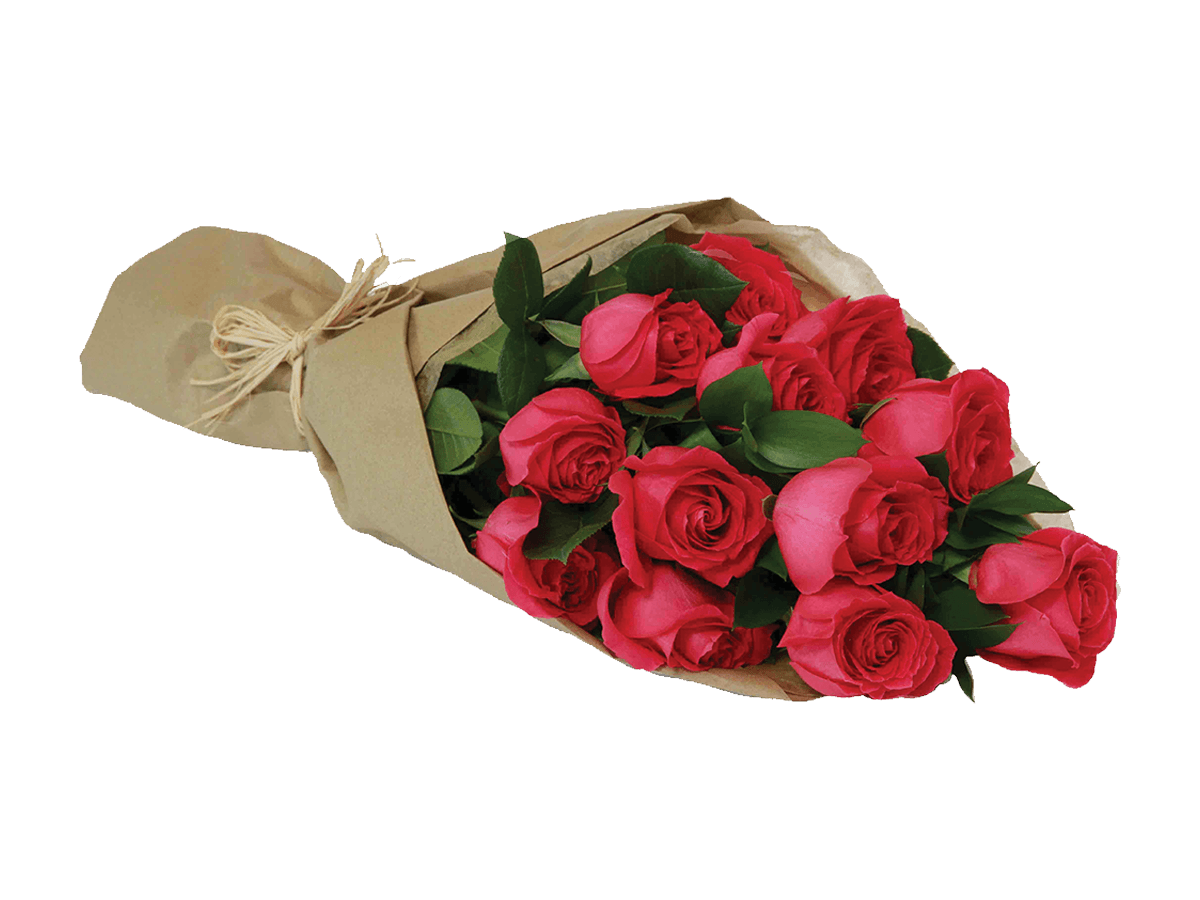 Dozen Roses Gift Wrapped (Assorted Colours)